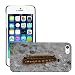 Produktbild Just Phone Cover Bild Hart Handy Schwarz Schutz Case Cover Schale Etui // M00138715 Schließen Caterpillar Stein haarig // Apple iPhone 5 5S 5G