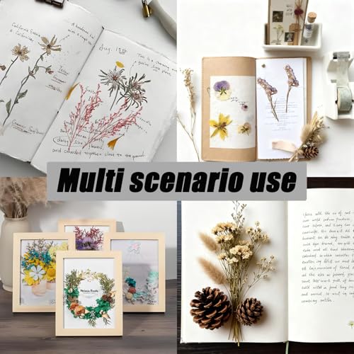 1 Pack Flores Secas Naturales Mixtas para Manualidades miniatura 5