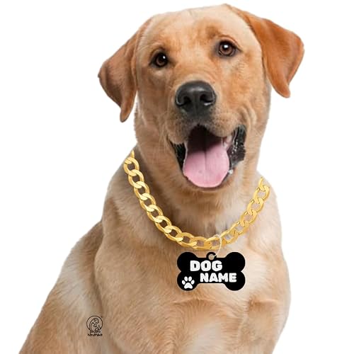 PAWPRO HANDMADE Diamond Cut Silver Dog Choke Chain Training Dog Collar for Cats, Puppies and Dogs with Customized Bone Shape Pet Id Tag (Large(24-27 inches), Gold)