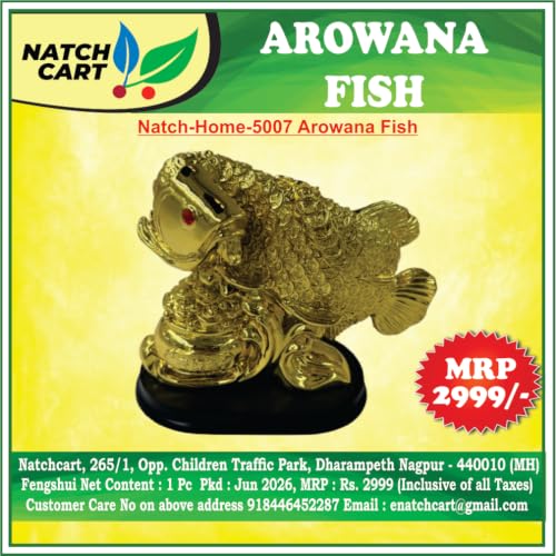 Image of Exclusive Fengshui Polyresin Arowana Fish Showpiece for Career, Luck & Education (AF-5007)