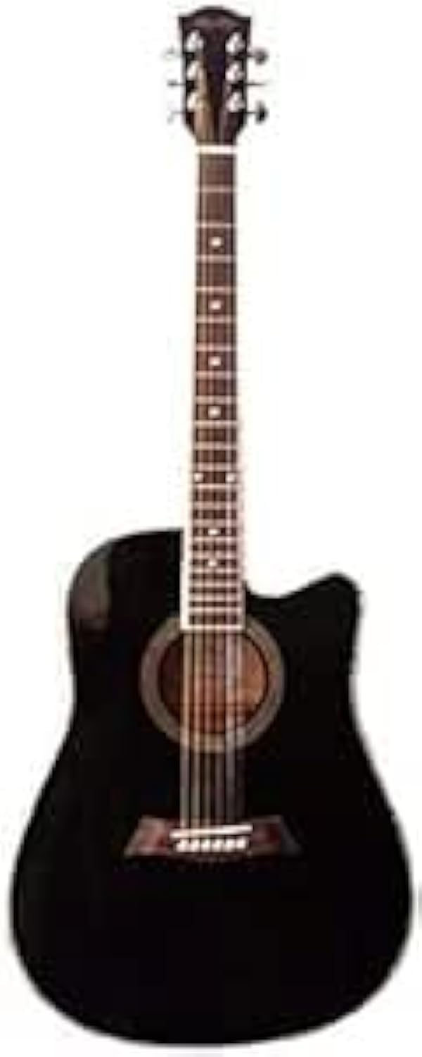 Semi Acoustic G-40 EQ Guitar