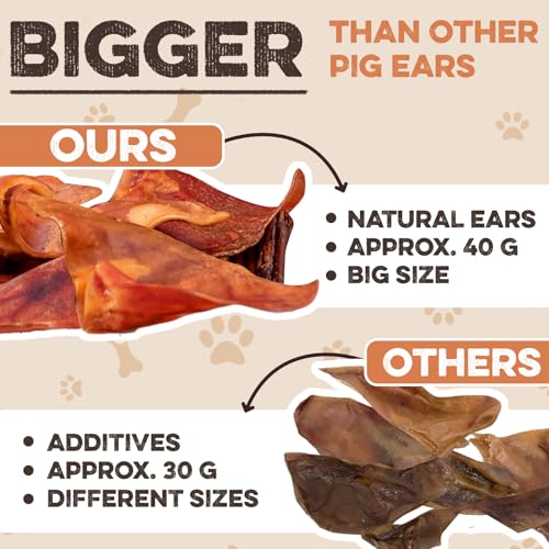 100-Natural-Whole-Pig-Ear-Dog-Treat-12-Pack-Our-Healthy-Pig-Ears-Are-Easy-To-Digest-Chemical-Hormone-Free-Thick-Cut-For-Aggressive-Chewers-Great-Small-Or-Large-Dogs 100 Natural Whole Pig Ear Dog Treat 12 Pack Our Healthy Pig Ears Are Easy To Digest Chemical Hormone Free Thick Cut For Aggressive Chewers Great Small Or Large Dogs