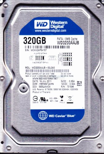 Western Digital WD Caviar Blue 320 Go