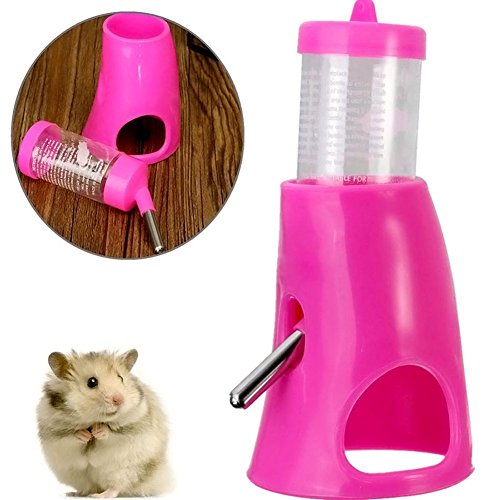 Best Water Bottles for Guinea Pigs A Helpful Guide Guinea Pig Tube