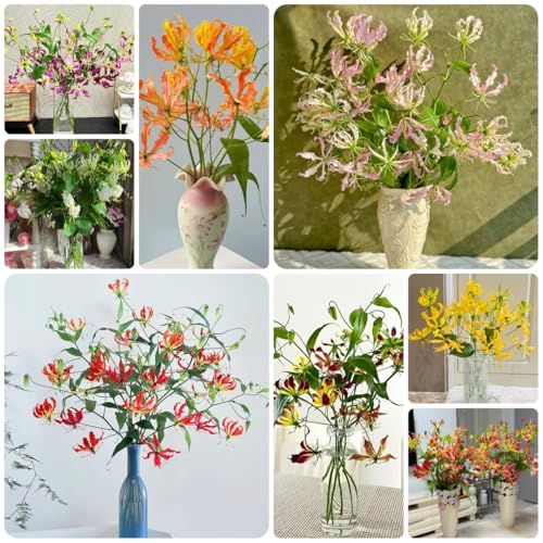 bulbi di giglio di fiamma fresche, decorativi giglio fiamma resistenti, giardino resistenti all'esterno esotiche precoci da giardino 4pcs