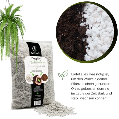 GebEarth® | Perlite für Pflanzen 3L | Körnung 2-6 mm | Verbessert die Wasserdrainage | Expandierte Perlite, ideal für Sukkulenten, Orchideen, Karnivoren und andere feuchtigkeitsempfindliche Pflanzen.