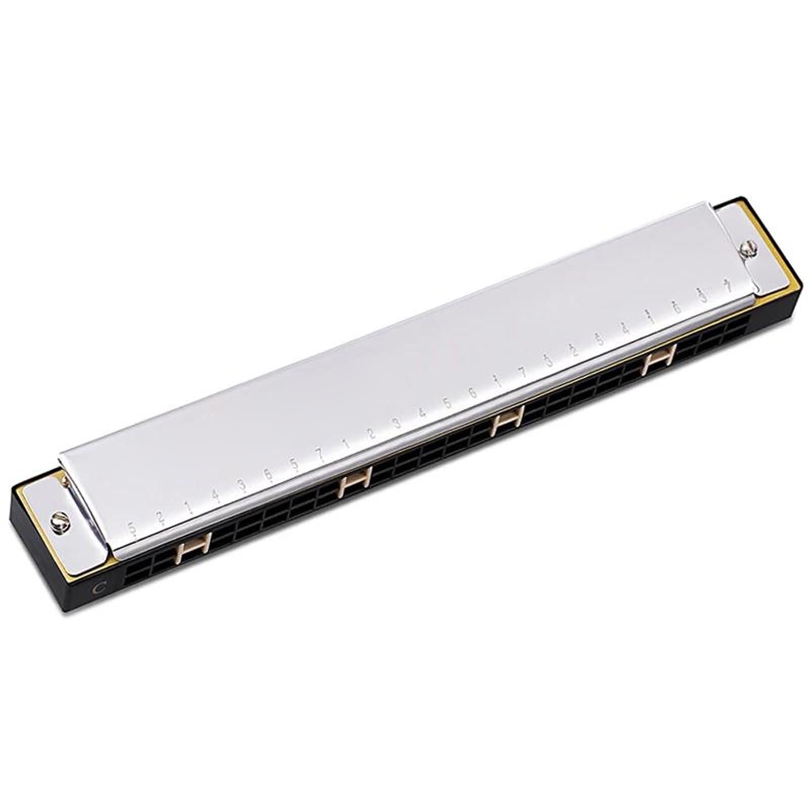 Armonica Blues Professionale Per Adulti 24 Fori Tono C(Type1)