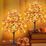 2FT Fall Lighted Eucalyptus Tree, 24 Inch Light Up Tabletop Artificial Tree with 36 LED Lights, 108 Leaves, Timer Battery Operated Fall Tree for Autumn Harvest Thanksgiving Home Decorations (2 Pack)