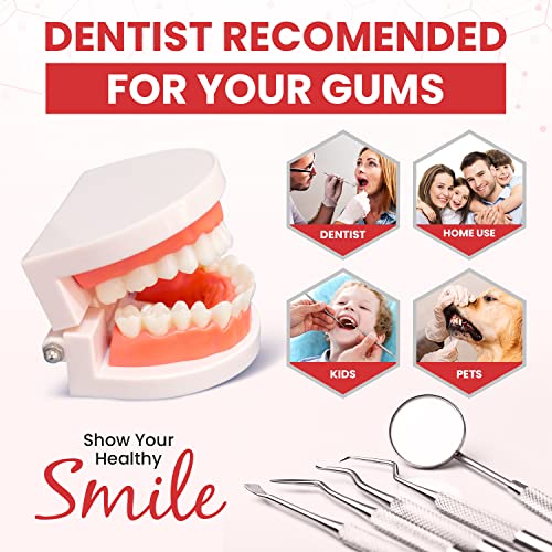 image for Dental Duty Dental Tools, Dental Pick for Teeth Cleaning Tools – Pla