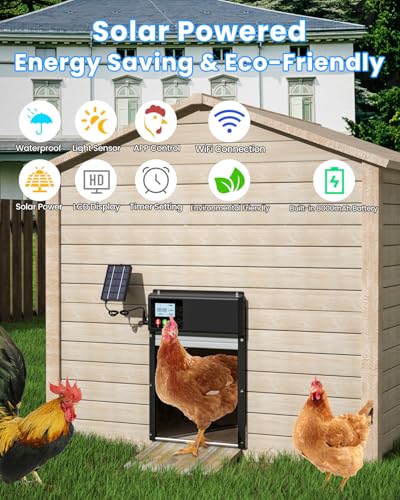 Porta de galinheiro automática atualizada, aplicativo WiFi alimentado por energia solar, controle re