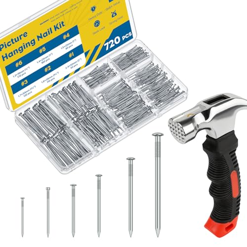 Vibit 720 Pcs Nail Assortment Kit with Small Hammer, 6 Sizes, Picture Hanging Nails for Wall Art,