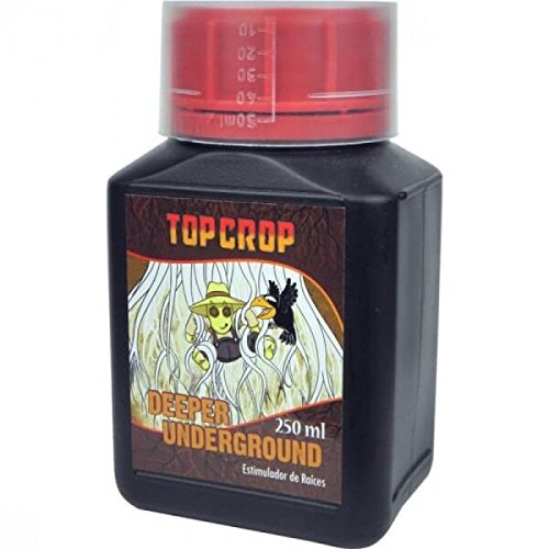 Pack Dnger Top Crop Autos : Amazon.de: Garten