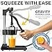 Eurolux Ultra-Premium Cast Iron Juicer | Extra-Large, Heavy Duty, Commercial Grade, Stainless Steel Manual Hand Press Citrus Squeezer For Fresh Orange Juice, Pomegranate, Lemon, and Much More (Black)