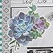 Schoolgirl Style - Succulents Extra Large Colorful Cut-Outs, Classroom Décor, 12 Pieces