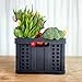 Clax® crate | folding box | basket | 48 qt (12 gal) | black
