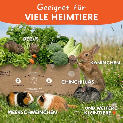 Kohl‑Lover Frischfutter-Box 3 kg – Ausgewognene Kohl‑Mischung für Kaninchen, Meerschweinchen & weitere Heimtiere | Blatt‑ & Kohlsorten liebevoll zusammengestellt | Versand Immer Montag & Dienstag