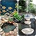 Super Idee Miniteich Deko Set Schwimmfrosch mit 6 Silber Kugeln und 2 STK Lotusblüte für Miniteich Terrassenteich Zinkwannen Solarbrunnen Garten Balkon Teiche Deko (Frosch auf Reifen)