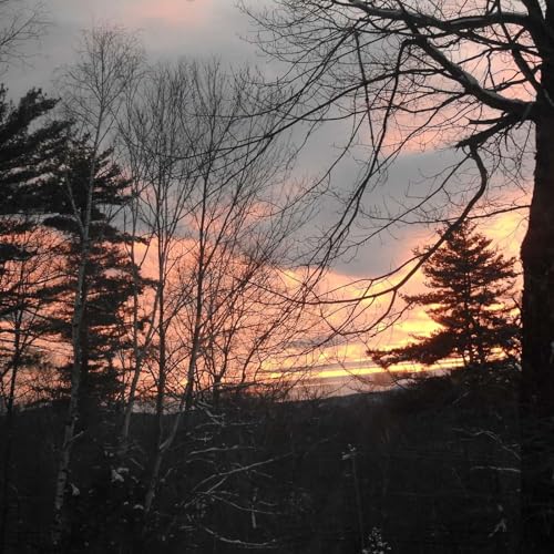 NOT ALWAYS A DELIGHT