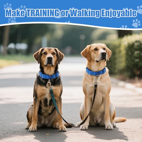 Image of Martingale Dog Collar, Reflective No Pull with Buckle, Blue, S | Escape Proof without choking ,Training Collar with Quick Release Buckle, Adjustable Heavy Duty Nylon collars for S M L Dogs