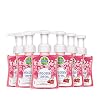 Dettol Handzeep Zachte Mousse – Roos & Kersenbloesem – 250ml x6