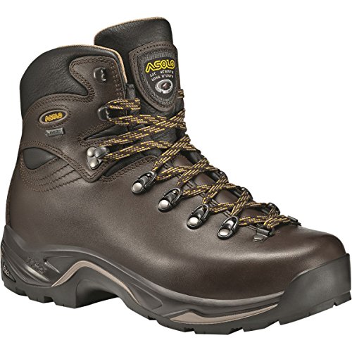 Asolo Women's TPS 520 GV EVO Chestnut Boot 8 D (M)