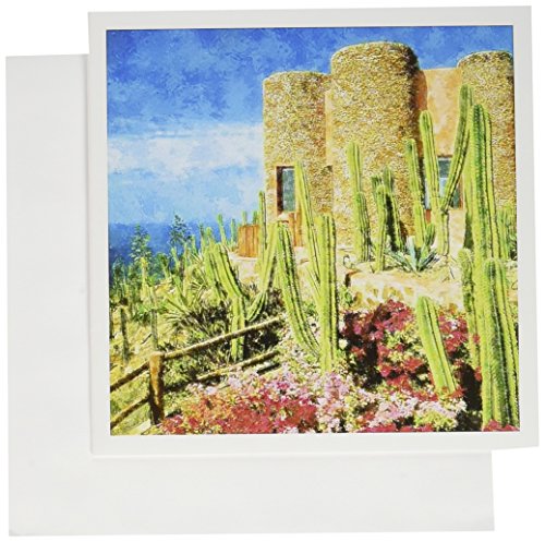 Cartes de vœux cactus pour invitations et correspondances à thème