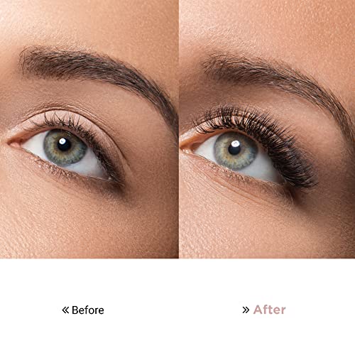 Bonita Lashes I Premade Fans Eyelash Extensions I Lash Extension I Lash Clusters I Eyelash Extension Kit I False Eyelashes I Faux Mink Lashes I 4D-6D, C-D Curl , 0.07 Thickness I Mix 8-14Mm Length I Professional Supplies I (4D-6D, 0.07, C-D Mix 8-14Mm) #TOP6