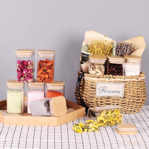 Image of Glass Food Storage Containers with Airtight Bamboo Lid, Coffee Storage Jars for Home Kitchen, Pantry Tea, Spices, Snack (SQUARE 280 ML JAR, SET OF 12)