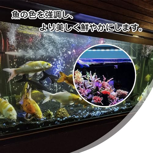 EsiFare 水族館タンクライト EsiFare-01 の商品画像 3