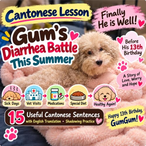Upper Intermediate Cantonese | 15 Useful Sentences + Shadowing Practice | Gum&rsquo;s Recovery