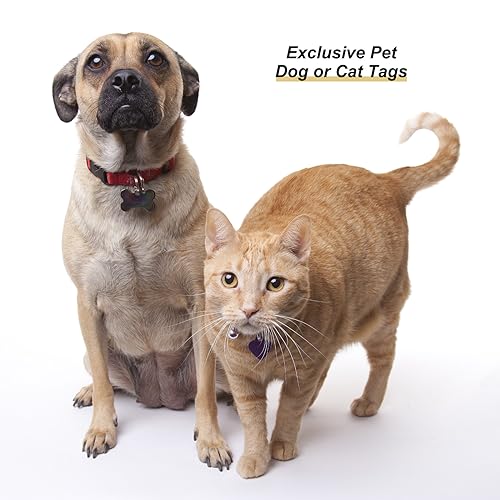 Médailles gravées en métal résistant pour l'identification de chat et chien - 6