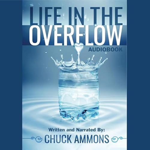 Life in the Overflow cover art