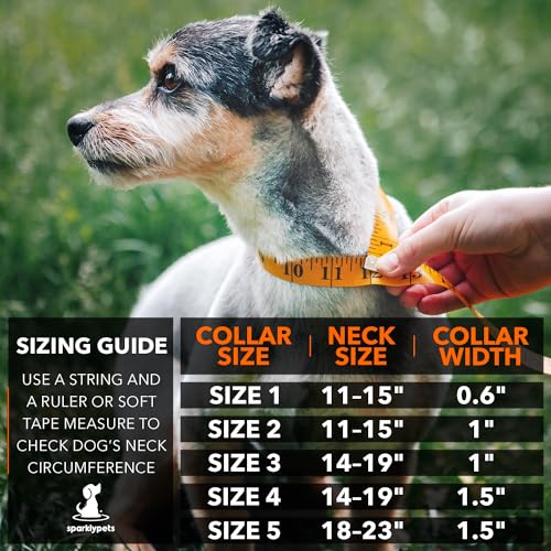 Collier chien très petite taille anti-perte avec support AirTag et doublure douce
