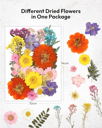 Image of Dried Flowers, Resiners 174Pcs Pressed Flowers for Craft Colorful Real Natural Dried Flowers Dry Leaves Kit for DIY Making Crafts Resin Soap Candle Scrapbook Supplies Card Making Jewelry