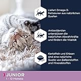 Eukanuba Junior Katzenfutter trocken getreidefrei - Premium Trockenfutter mit viel Lachs für Kitten, 2 kg