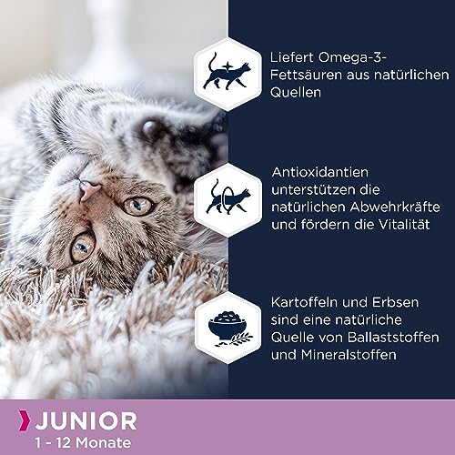 Eukanuba Junior Katzenfutter trocken getreidefrei - Premium Trockenfutter mit viel Lachs für Kitten, 2 kg