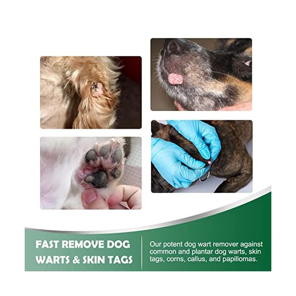 Dog-Wart-Remover-Natural-Dog-Wart-Removal-Treatment-Skin-Tag-Remover-Rapidly-Eliminates-Pets-Warts-Harmless-Pain-Free-No-Irritation-Effective-Skin-Tag-Removal Natural Dog Wart Remover - Rapid Elimination Solution | Safe & Effective
