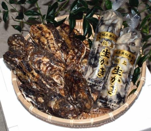 牡蠣20個セット・宮城県奥松島産 (20個セット) 牡蠣20個セット・宮城県奥松島産 (20個セット)