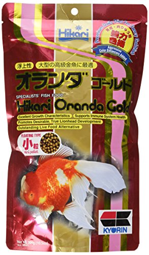 Hikari 10.5-Ounce Oranda Gold Floating Pellets for Pets, Mini Hikari 10.5-Ounce Oranda Gold Floating Pellets for Pets, Mini