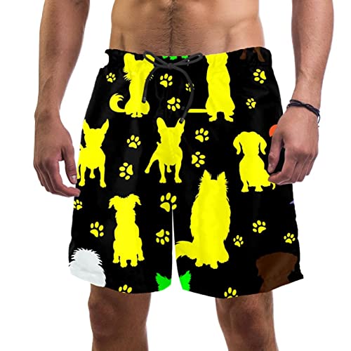 Maillots de bain pour hommes à séchage rapide et motif original