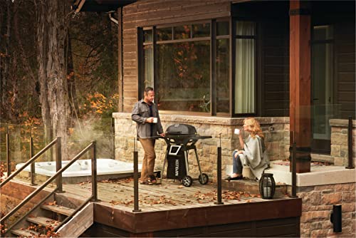 Napoleon Propane Gas Grill #TOP5