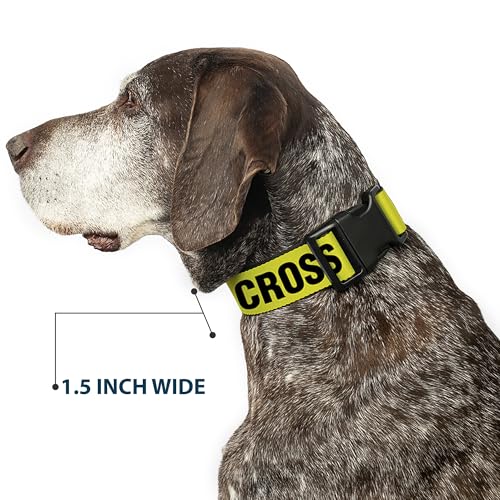 Collar de perro Crime Scene Do Not Cross ajustable de 9 a 15 pulgadas 8