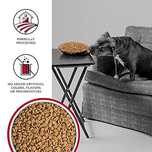 BIXBI Liberty Grain Free Dry Canine Meals, Beef, 22 lbs - Contemporary Meat, No Meat Meal, No Fillers - Gently Steamed & Cooked - No Soy, Corn, Rice or Wheat for Straightforward Digestion - USA Made BIXBI Liberty Grain Free Dry Canine Meals, Beef, 22 lbs – Contemporary Meat, No Meat Meal, No Fillers – Gently Steamed & Cooked – No Soy, Corn, Rice or Wheat for Straightforward Digestion – USA Made