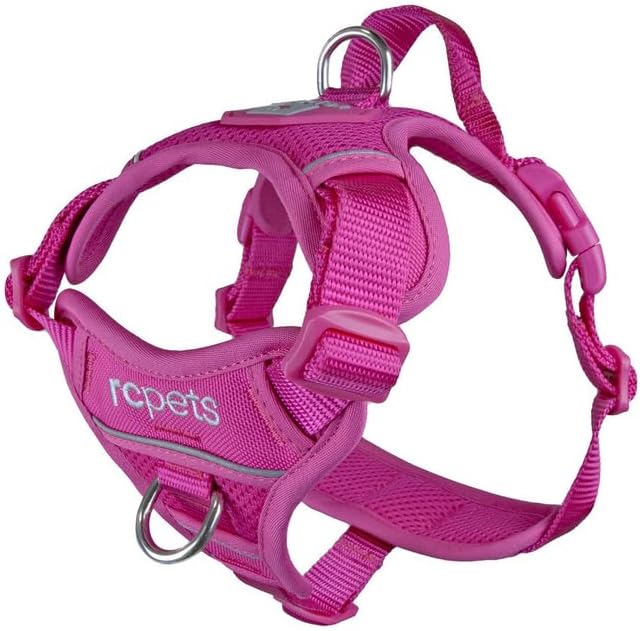 RC Pets Momentum Control Harness | Dual Leash Points, Control Handle & Breathable Mesh | Azalea, Small
