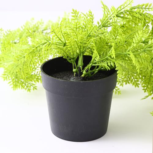 Image of TIED RIBBONS Set of 2 Artificial Hanging Ferns Plants with Pot Potted Greenery for Wall Home Decor Wall Pot Indoor Outdoor Office Garden Balcony Decoration Items (70 Cm, Long)