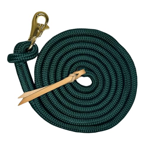 Laisse d'entraînement Hunter Kensington robuste de 25 pieds avec mousqueton acier