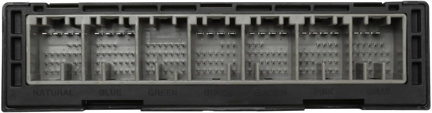 GM 13528945 Body Control Module