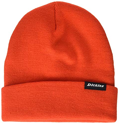 Dickies Alaska Cappello Uomo