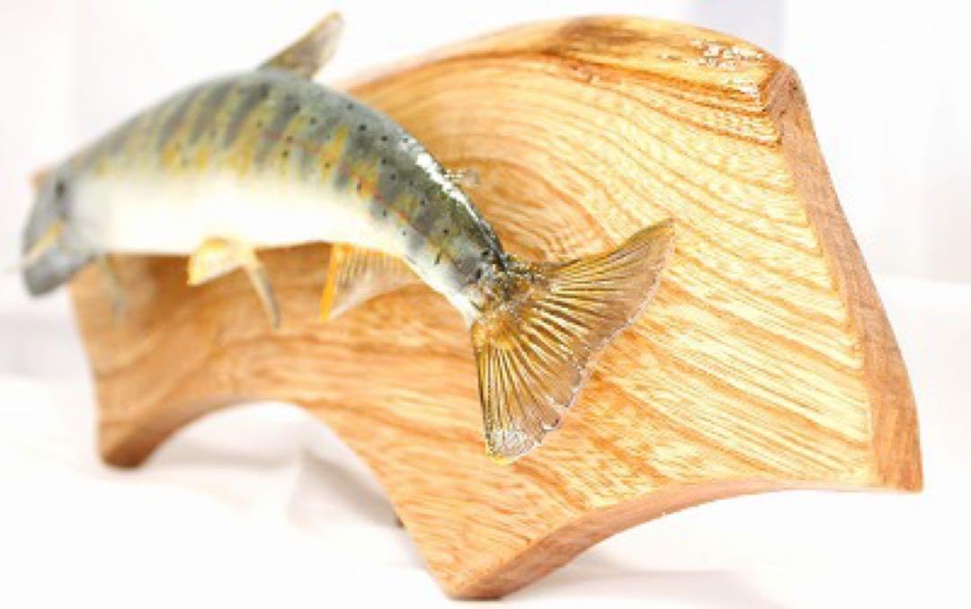 インテリア　渓流魚　山女魚　剥製 インテリア 渓流魚 山女魚 剥製 インテリア 渓流魚 山女魚 剥製 魚の剥製