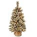 National Tree 3 Foot Glittery Bristle Pine Tree with 7 White Tipped Cones and 35 Warm White Battery Operated LED Lights with Timer in Burlap (GB3-392-30-B1)